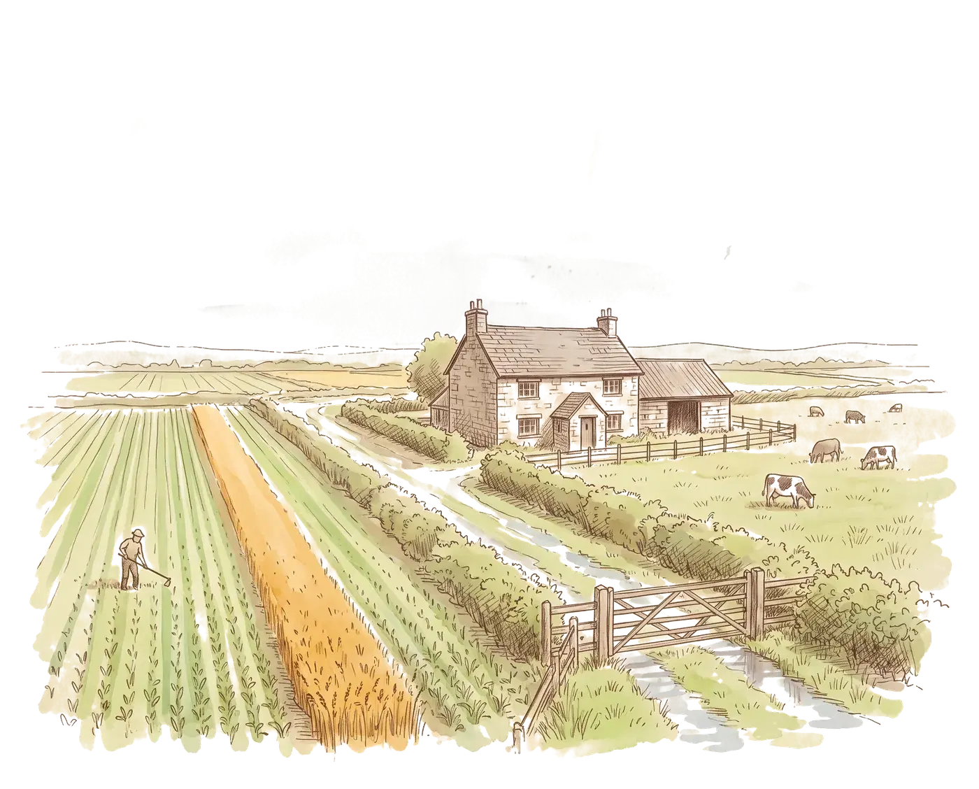 Getekende boerderij op eigen grond, met akkers, weide en een hek bij de ingang