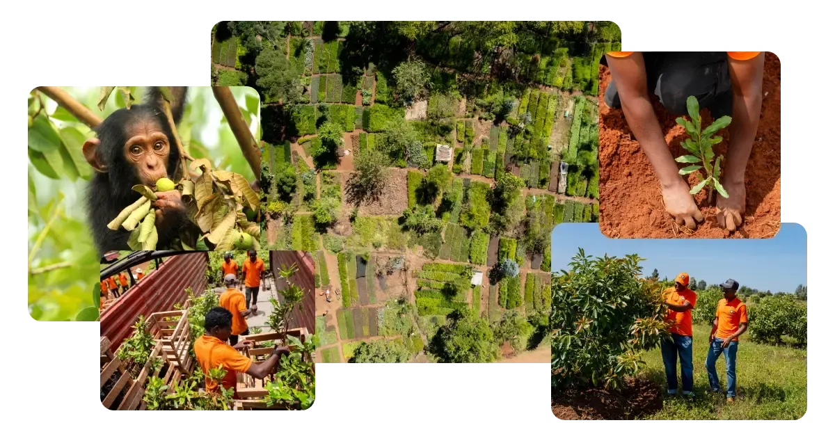 De aanvullende voordelen die grootschalige natuurprojecten bieden.
